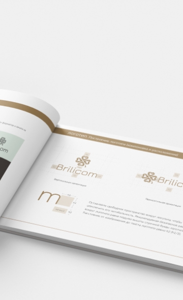 Brandbook brilicom